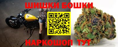 прущие грибы Пугачёв