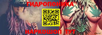 прущие грибы Пугачёв