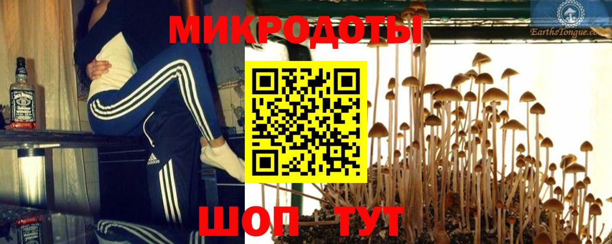 Рассказово  Псилоцибиновые грибы Cubensis  закладка  Вход с VPN 